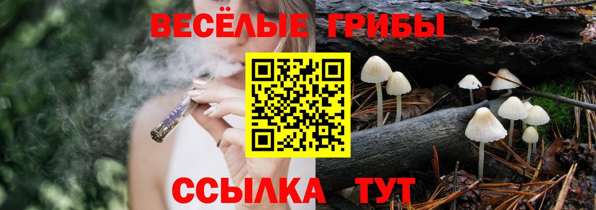 Псилоцибиновые грибы Psilocybe  Вход с VPN  хочу   Полысаево  Псилоцибиновые грибы мухоморы 
